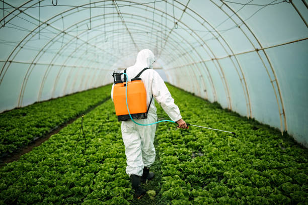 Best Affordable Pest Control Services  in Lake Park, GA