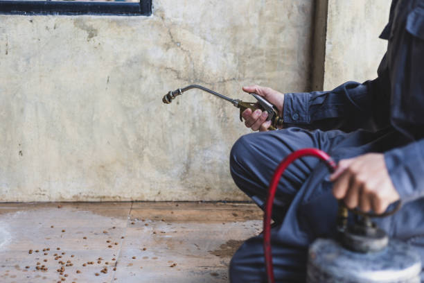 Best Emergency Pest Control  in Lake Park, GA